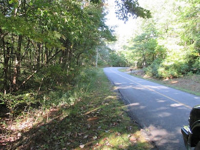 519 Lower Sassafras Pkwy, Jasper, GA 30143 - photo 7