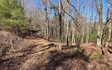 L2&3 My Mountain Rd, Morganton, GA 30560 - photo 2