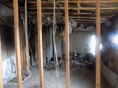 236 Booker St, Pikeville, NC 27863 - photo 4