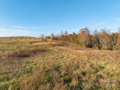 1888 Pea Ridge Rd, Mill Spring, NC 28756 - photo 5