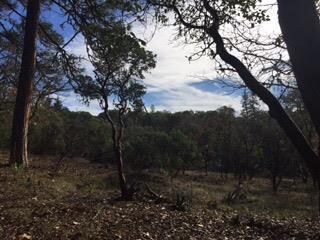 0 S Vannoy Creek Rd, Grants Pass, OR 97526 - photo 4