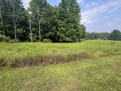 V/L S Dow Rd, West Branch, MI 48661 - photo 3
