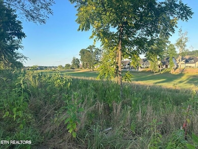 987 Mockingbird Ln, Loudon, TN 37774 - photo 4