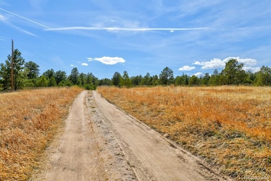 18673 N Elbert Rd, Elbert, CO 80106 - photo 3