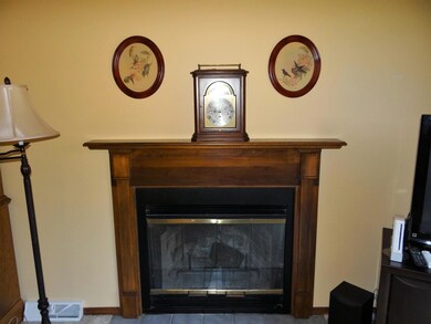 5-Living Room Fireplace