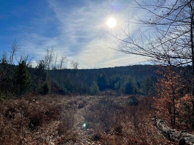 341 Hermit Woods Rd, Sanbornton, NH 03269 - photo 3