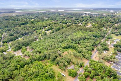 3.82 ACS W/S Black Rd SE, Darien, GA 31305 - photo 7