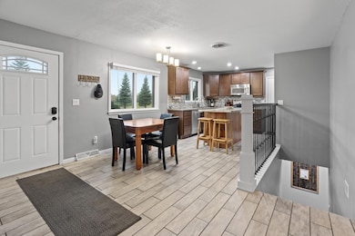 Entrance/Dining/Kitchen