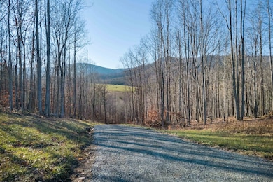 1590 Mill House Rd, Woolwine, VA 24185 - photo 6