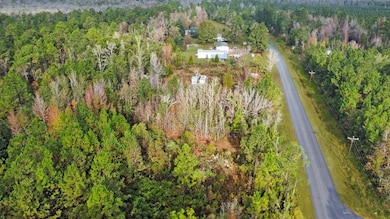 Lot 2 Old Bay City Rd, Wewahitchka, FL 32465 - photo 4
