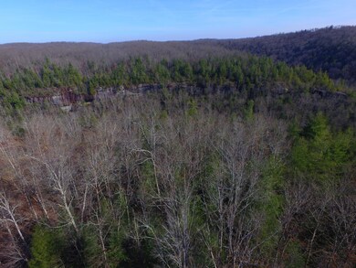 DJI_0003 - Copy