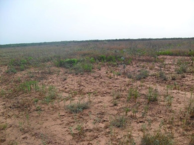 View of local wilderness