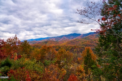 429 Deer Path Ln unit 103, Gatlinburg, TN 37738 - photo 3