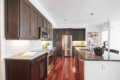 Nouvelle at Natick unit 909, Natick, MA 01760 - photo 2