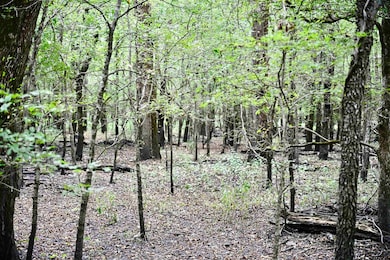 TBD W Fm 71, Talco, TX 75487 - photo 3