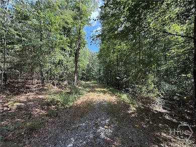 1276 Winns Lake Rd, Comer, GA 30629 - photo 3