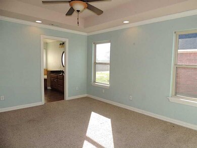 Master Bedroom. Spacious Master Bedroom has big ov