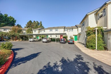 493 Tulipan complex far away .front door