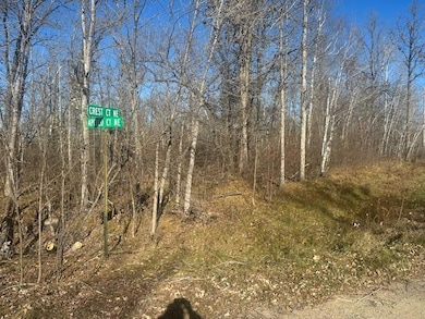 Corner of Apollo Ct & Crest Ct.jpeg