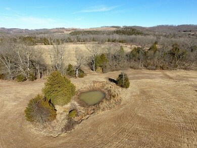 Tbd Frd 1195, Jenkins, MO 65605 - photo 7