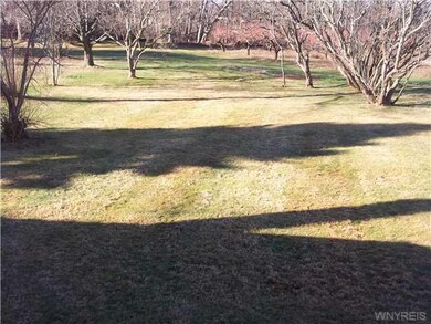 Yard/Garden