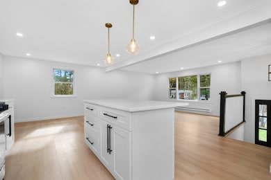 17 Susan Ln, Bellingham, MA 02019 - photo 4