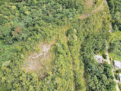 PR-446 Km 7 5, Isabela, PR 00662 - photo 6