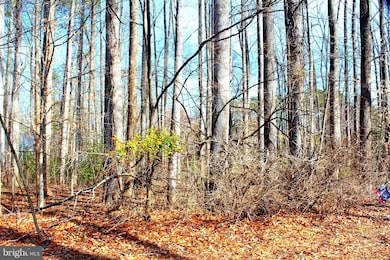 0 Scott Cir unit MDSM2027260, Mechanicsville, MD 20659 - photo 5