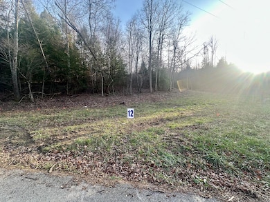 Lot 12 Hensley Rd, East Bernstadt, KY 40729 - photo 4