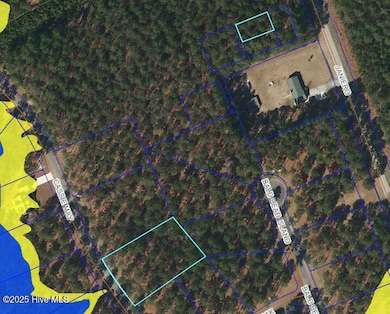 218 Cassie May Blvd, Oriental, NC 28571 - photo 3