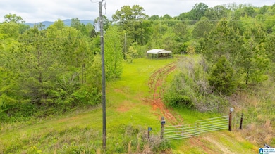 1432 Mardisville Rd, Talladega, AL 35160 - photo 3