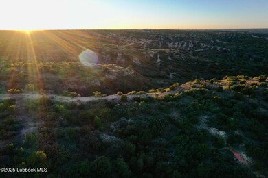 DJI_0496 copy