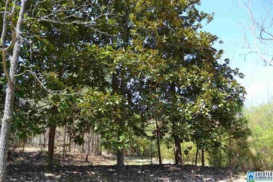 10066 Mize Rd, Remlap, AL 35133 - photo 5