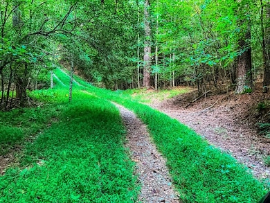 241 AC Legion Rd, Ellijay, GA 30540 - photo 2