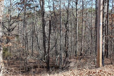 0 Ouse Ln, Bella Vista, AR 72714 - photo 2