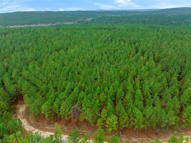 295 Hochapine Trail, Broken Bow, OK 74728 - photo 2