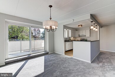 801 S Chester Rd unit 105, Swarthmore, PA 19081 - photo 4