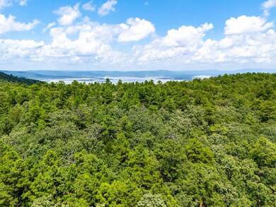 040 acers Maxwell Creek Rd, Clayton, OK 74536 - photo 5