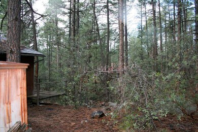 5264 N Javelina Way, Strawberry, AZ 85544 - photo 5