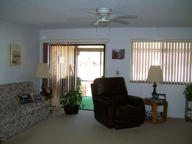 Living Room to Back Porch