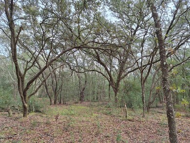 00 SE 73rd Place, Morriston, FL 32668 - photo 3