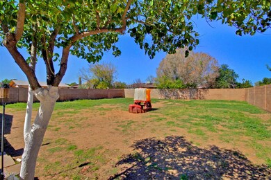 Rear Yard
