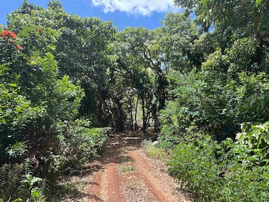 0 Wailau Valley Rd unit Lots 3 and 4 406479, Kaunakakai, HI 96748 - photo 4