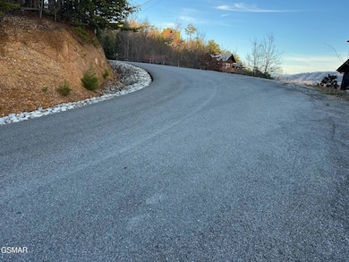 1611 Mountain Dreams Way, Sevierville, TN 37862 - photo 5