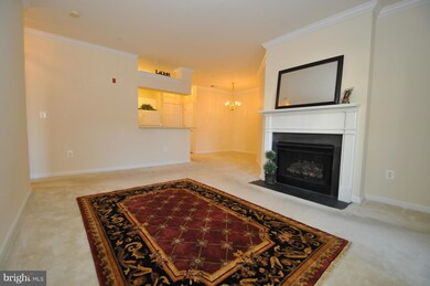 4550 Strutfield Ln unit 2316, Alexandria, VA 22311 - photo 3