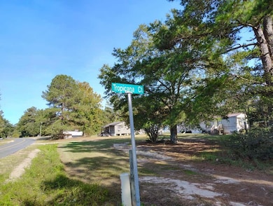 112 Tropicana Ct, Orangeburg, SC 29118 - photo 7