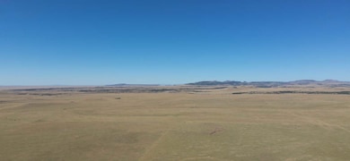 County Road A009, Des Moines, NM 88418 - photo 3