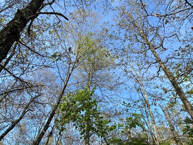 000 Moonlight Rd unit 155 Acres, Mammoth Spring, AR 72554 - photo 6