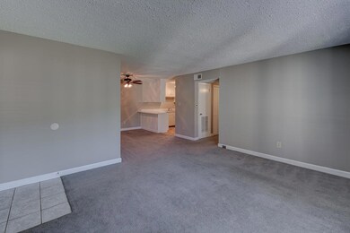 Living and Dining Area