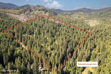 41+ Acres of treed, private, land, ponds